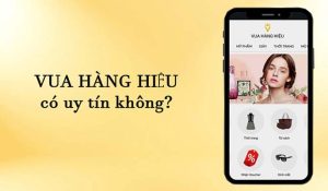 Vua hàng hiệu có uy tín không? Vua hàng hiệu kinh doanh sản phẩm gì?