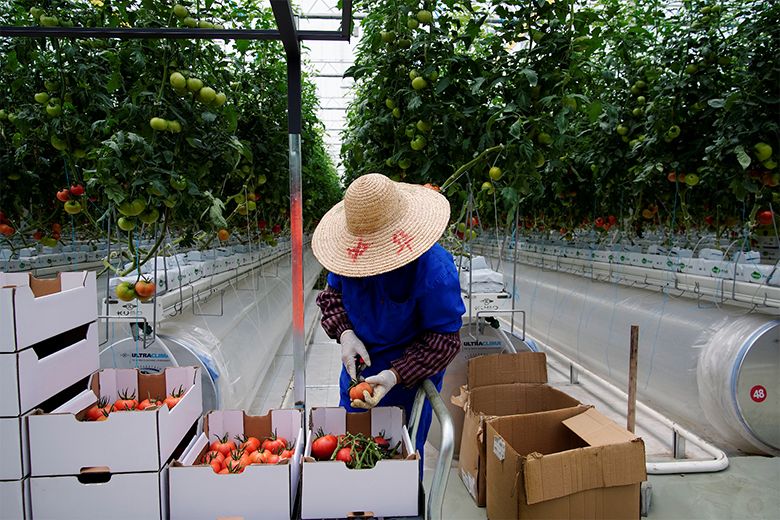 TOP 5+ đơn hàng đi Nhật cho nam lương cao nhất 2023