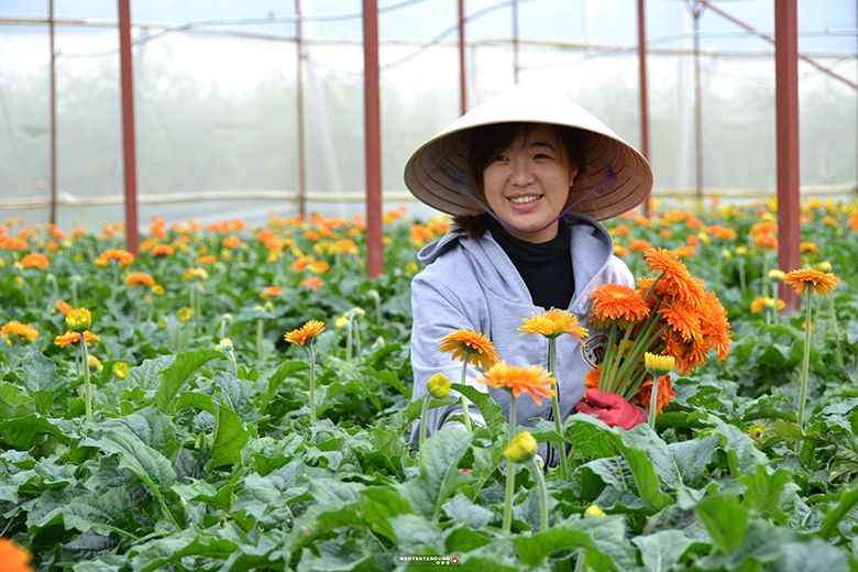 TOP 5+ đơn hàng đi Nhật cho nam lương cao nhất 2023