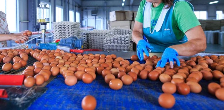 TOP 5+ đơn hàng đi Nhật cho nam lương cao nhất 2023