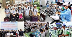Cập nhập những thông tin tuyển dụng và việc làm mới nhất tại HCM