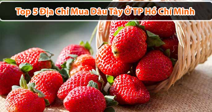 Top 5 địa chỉ mua dâu tây ở TP Hồ Chí Minh uy tín nhất bạn nên biết