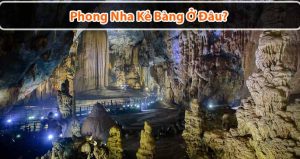 Phong Nha Kẻ Bàng ở đâu? Khám phá vẻ đẹp của kỳ quan Phong Nha Kẻ Bàng